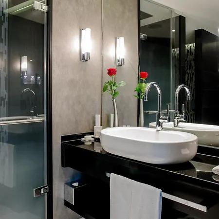 Hotel Schweizerhof Bern & Spa-2